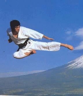 71e498d0762337ef07d744c760f55d6f--karate-club-shotokan-karate