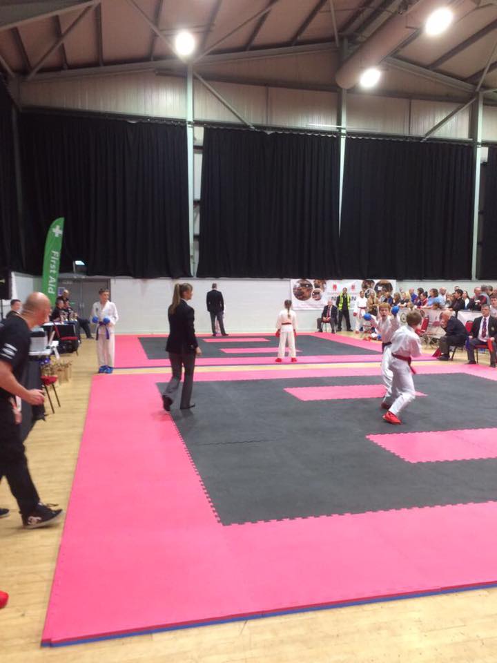 22406081_10209075303473656_3887765742588024958_n