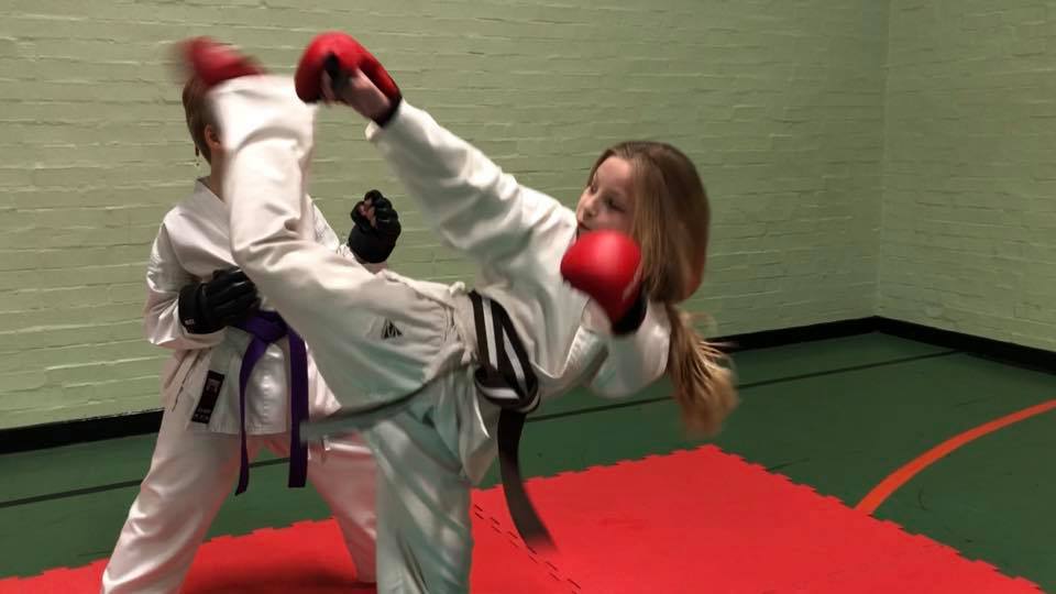 30715001_1946620202295475_3432188486678265082_n